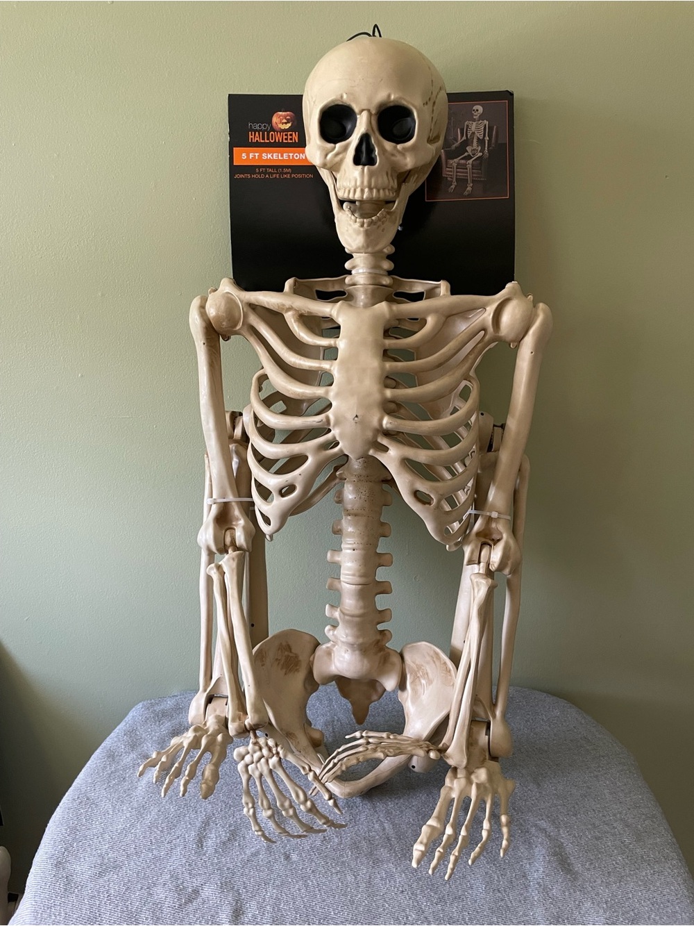 Happy Halloween 5 Ft Skeleton - Beige Bone with Orange Accent